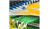 Single mode fiber