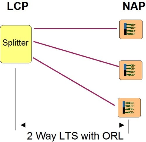 Testing LCP To NAP